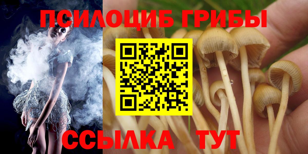 Псилоцибиновые грибы MAGIC MUSHROOMS Коркино